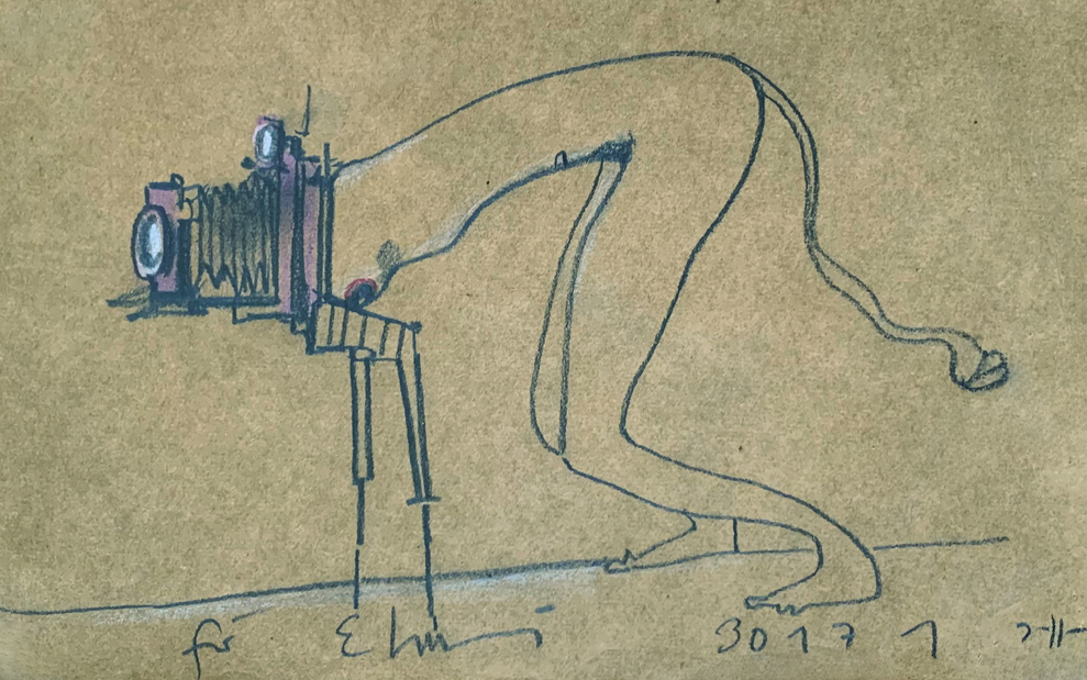 Karin Elmers Portrait